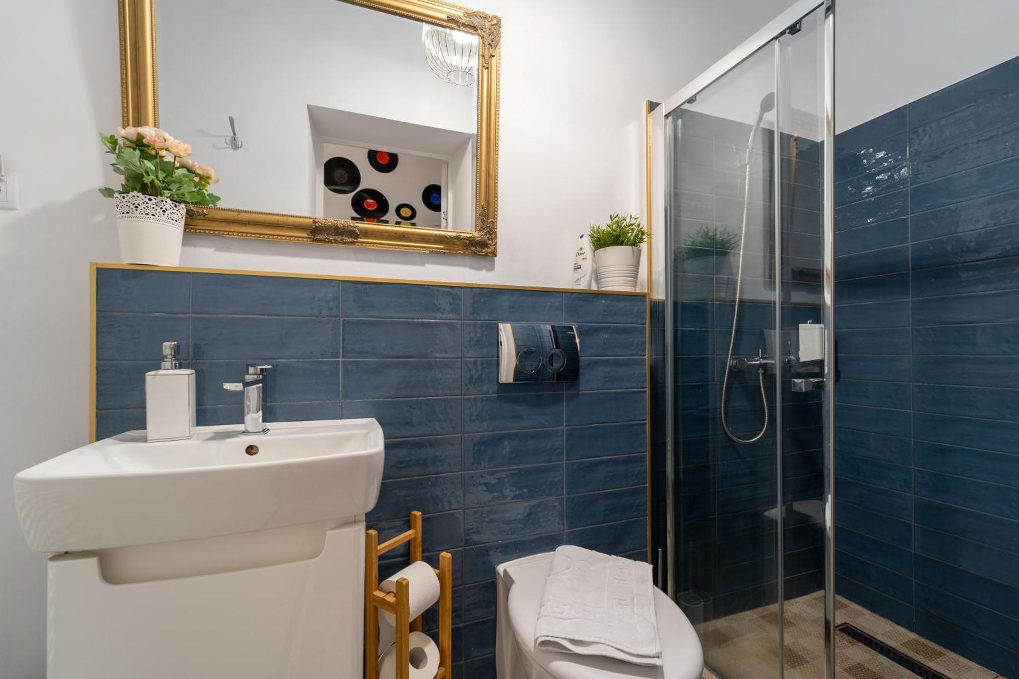 Noble 5 Star House In Unirii Plaza Villa Cluj-Napoca Luaran gambar
